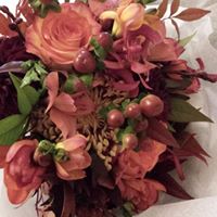 Julie Mcwilliams Photo 22