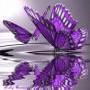 Deborah Munger Photo 17