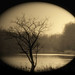 Lori Horst Photo 10