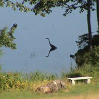 Debra Fuchs Photo 18