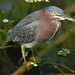 Sandra Heron Photo 19
