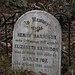 Elizabeth Harrison Photo 23