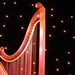 Robin Harp Photo 13