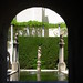 Carmen Flores Photo 19