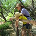 Donna Phoenix Photo 7
