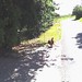Elmore Beck Photo 7