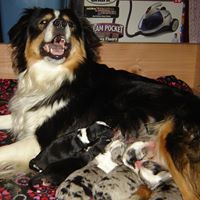 Connie Snyder Photo 38