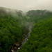 Lori Wolf Photo 15