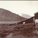 Frederick Howell Photo 13