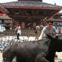 Vincent Tang Photo 29