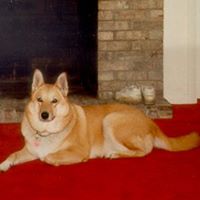 Donna Kidd Photo 2