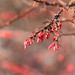Milton Winters Photo 2