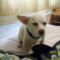 Joyce Lyman Photo 15