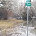 Betty Cartwright Photo 21