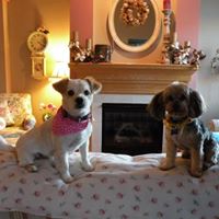 Deb Overton Photo 6