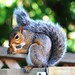 Jerry Pellegrino Photo 20