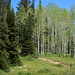 Carla Meadows Photo 14