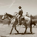 Willie Roper Photo 10