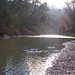 Michelle Jamieson Photo 17