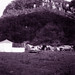 Paul Shales Photo 10