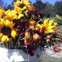 Mary Bartlett Photo 36