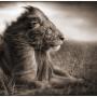 Sarah Michaelson Photo 19