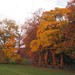 Ruth Musgrave Photo 7