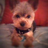 Kelly Trejo Photo 3