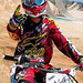 Todd Morrison Photo 60