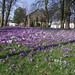 Chad Spring Photo 8
