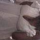 Jazmine Robinson Photo 10