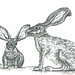 Martha Shaffer Photo 6