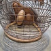 Donald Young Photo 35