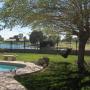 Janet Hite Photo 17