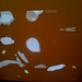 Amy Kantor Photo 21