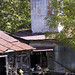 Debbie Gaston Photo 14