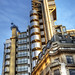 Monty Rogers Photo 9