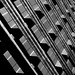 Richard Rolfe Photo 17