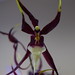 Kenneth Bivens Photo 8