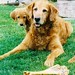 Brandy Hunt Photo 20