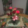 Clara Warren Photo 22