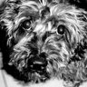 Kelly Alvarado Photo 36