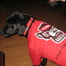 Suzanne Weaver Photo 43