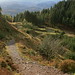 Elizabeth Forest Photo 10