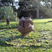 Tom Chestnut Photo 17