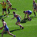 Dale Morris Photo 40