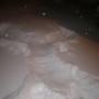Rosa Caro Photo 1