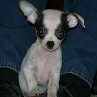 Jayne Jenkins Photo 5