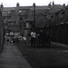 Ethel Lane Photo 16