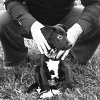 David Sutherlin Photo 23